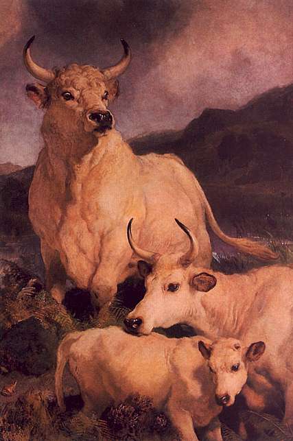 Sir Edwin Landseer Wild Cattle at Chillingham